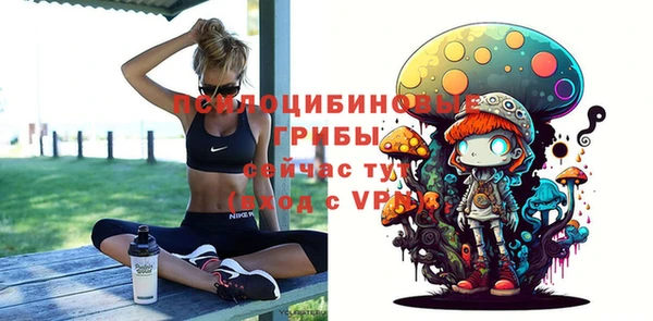бошки Армянск