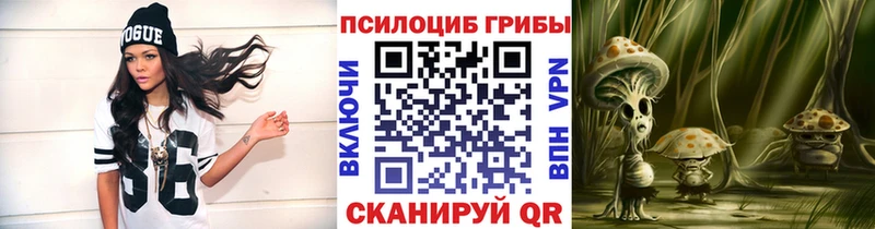 Псилоцибиновые грибы мицелий  Купить закладки  Мончегорск 