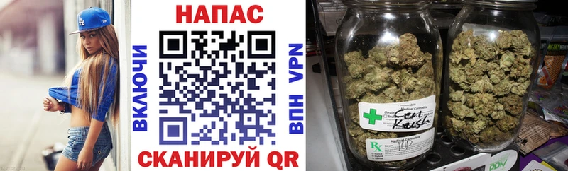 Купить закладки  Мончегорск  Бошки марихуана конопля 